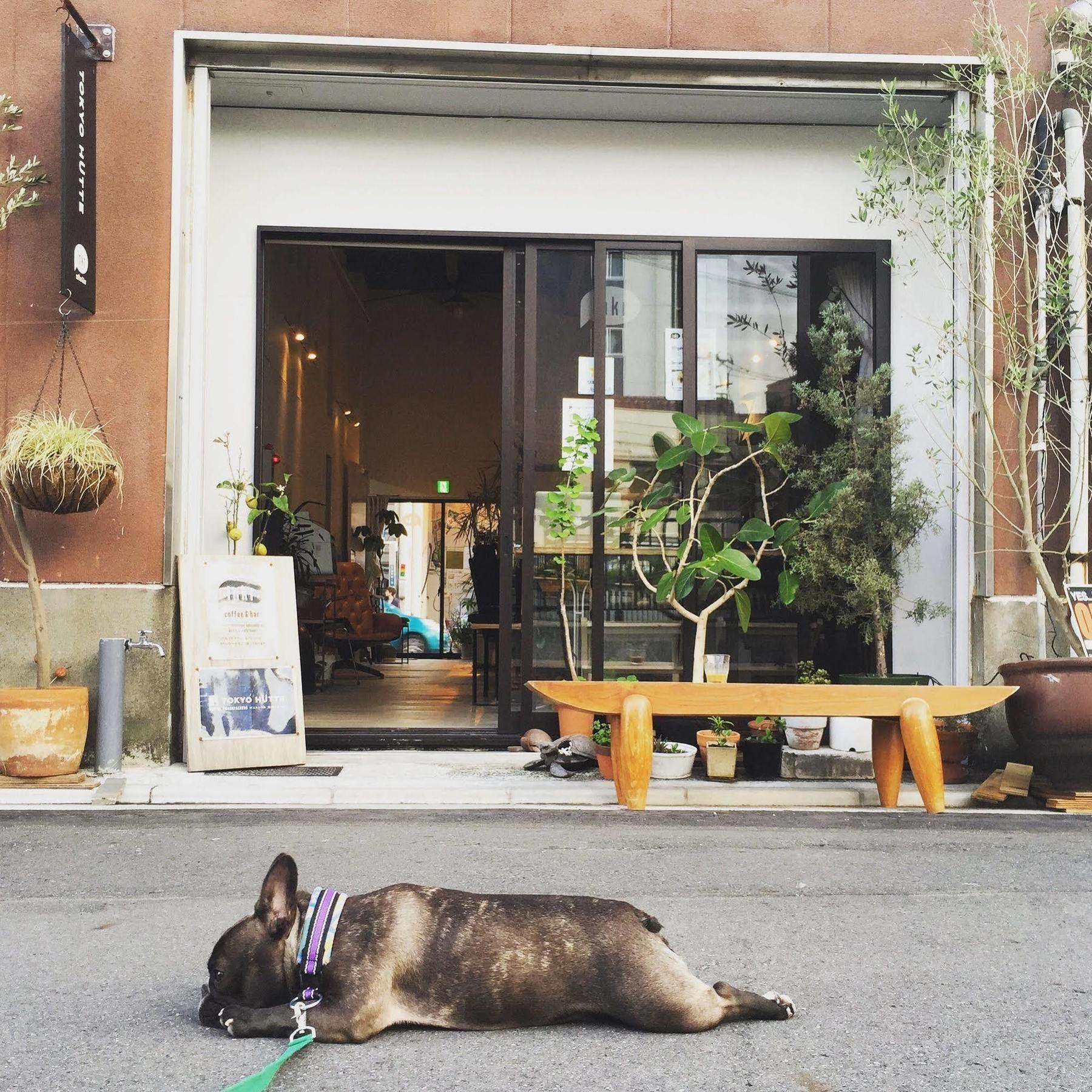Хостел Tokyo Hutte Экстерьер фото